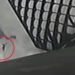 ufo spacex