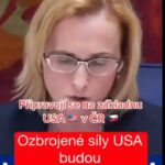 americká základna čr