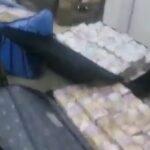 gabon prezident tašky peníze