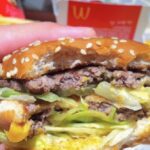 burger lidská dna krysí
