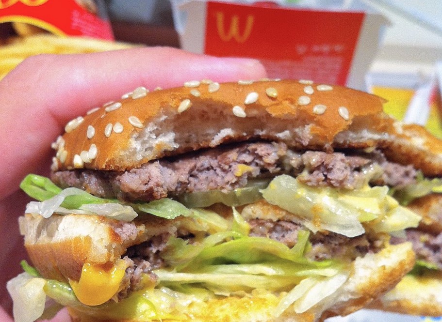 burger lidská dna krysí