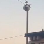 Gajary migranti