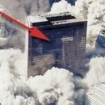 wtc7