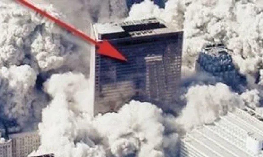 wtc7
