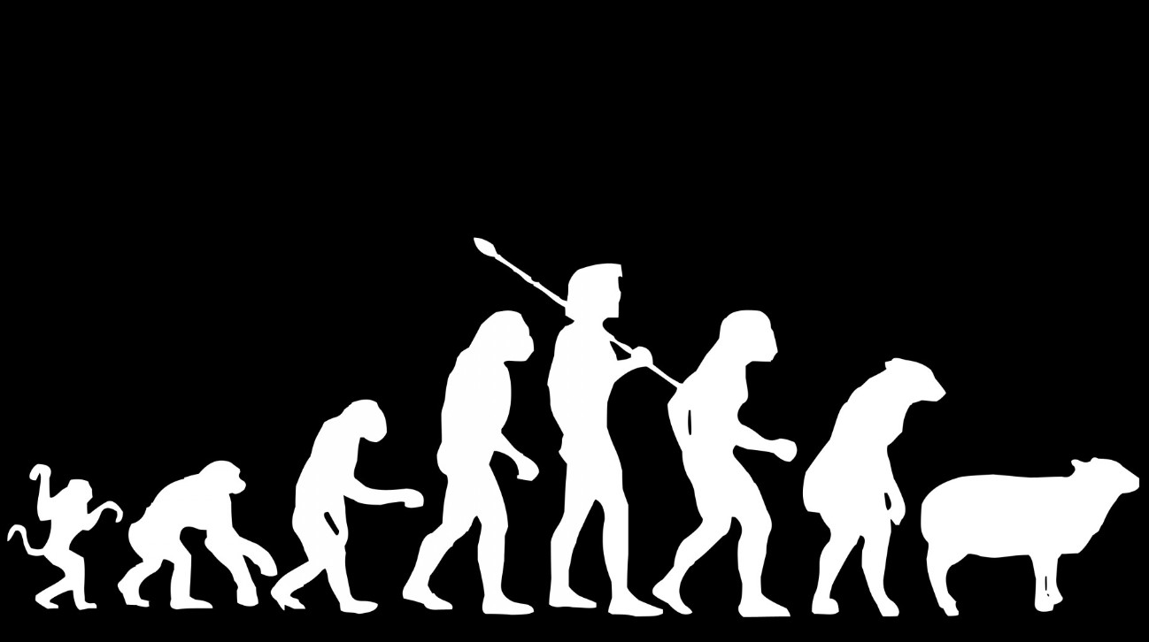 darwin teorie evoluce