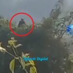 ufo peru