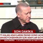 erdogan jemen