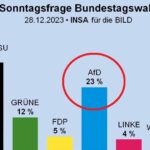 afd německo zákaz
