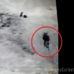 jellyfish ufo