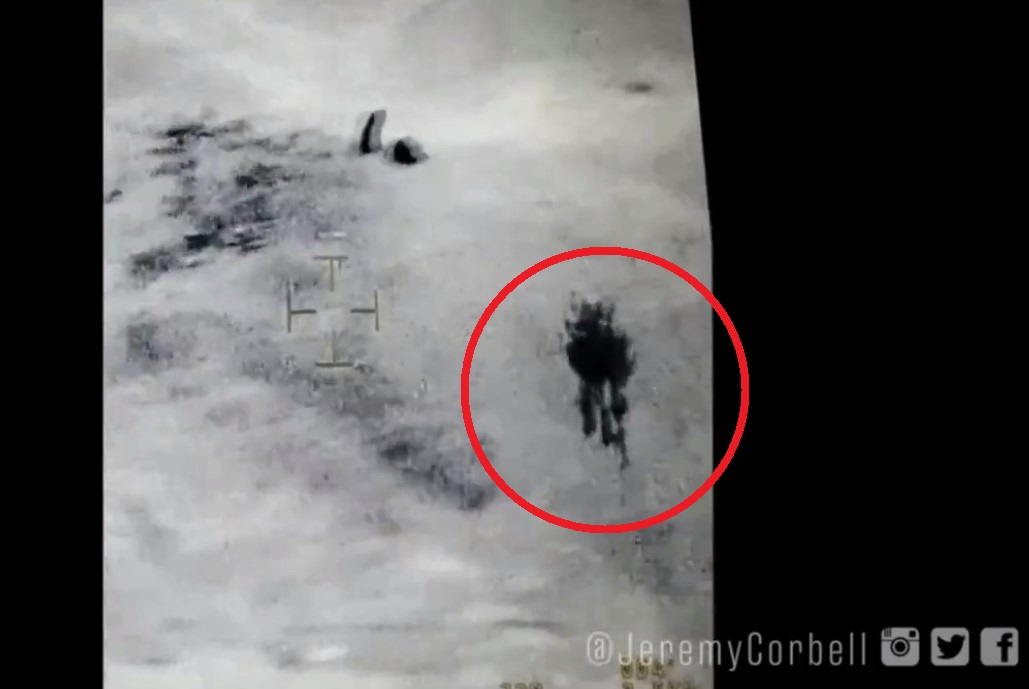 jellyfish ufo