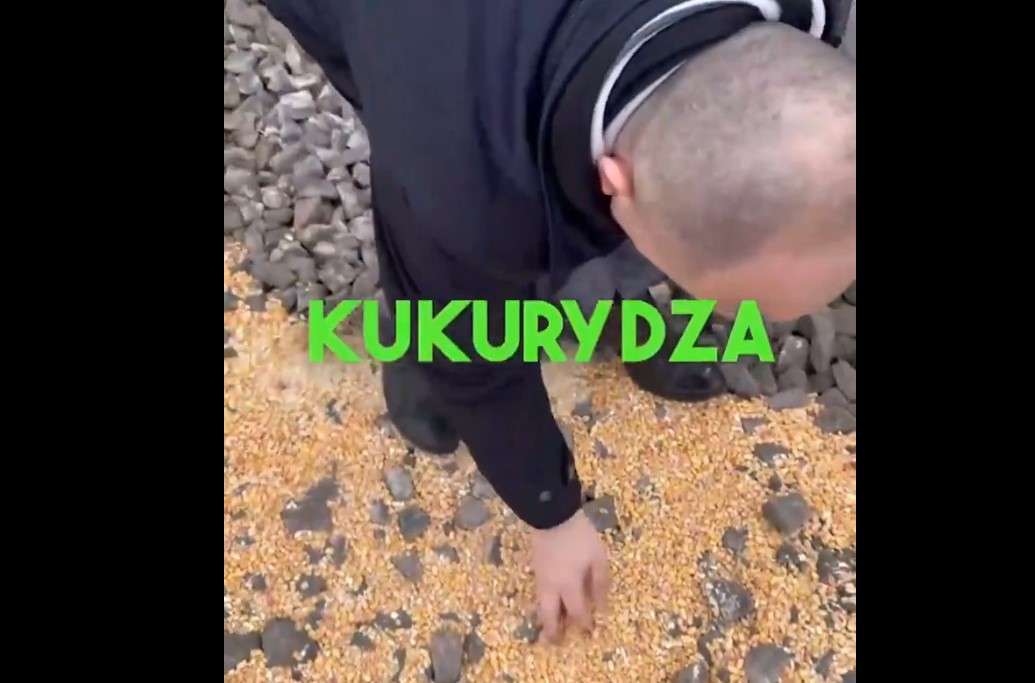 kukuřice ukrajina cement