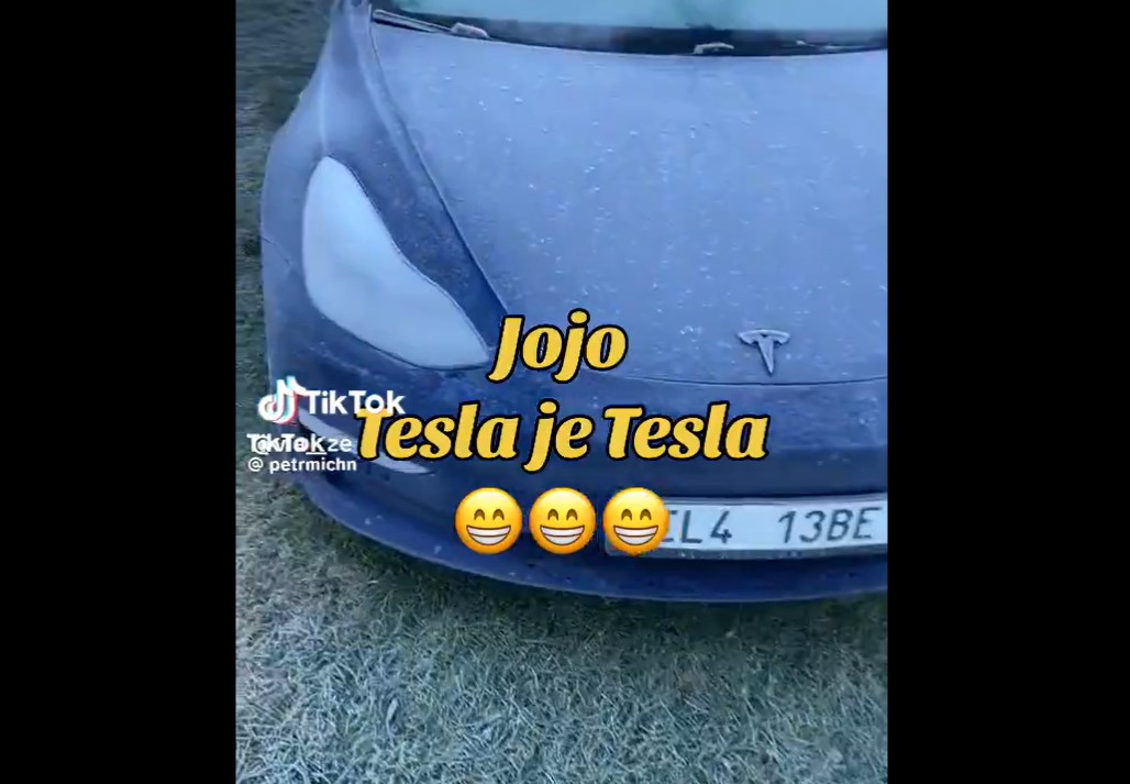 tesla mráz