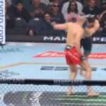 ufc procházka