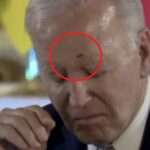 g7 biden moucha