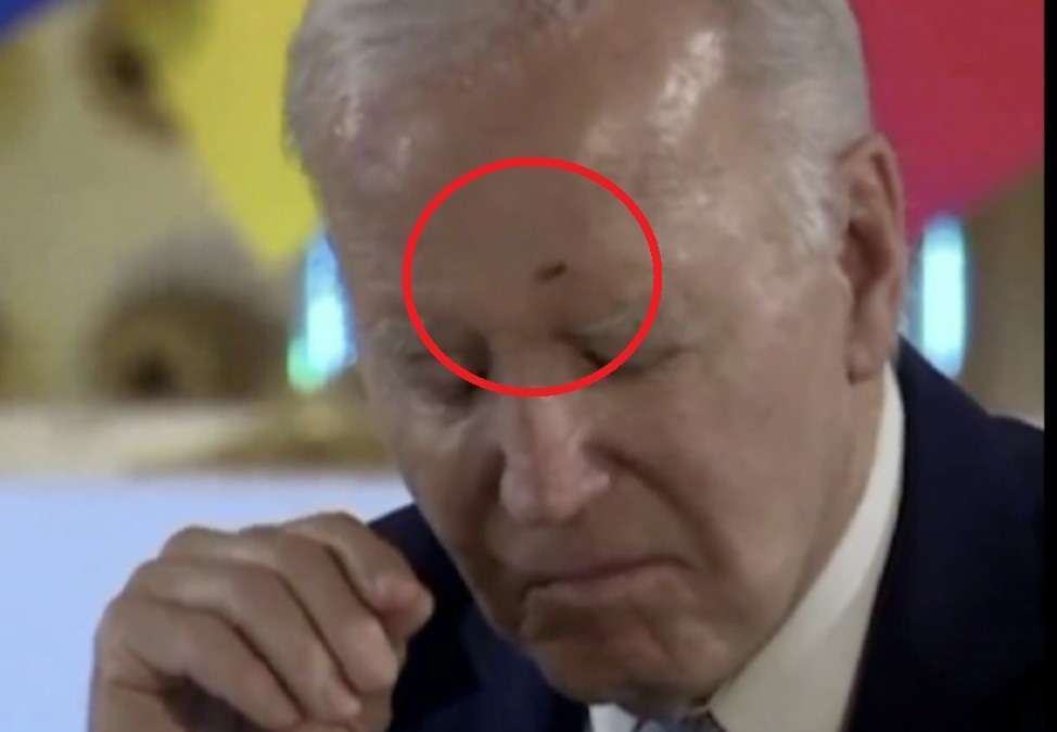 g7 biden moucha