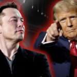 musk trump